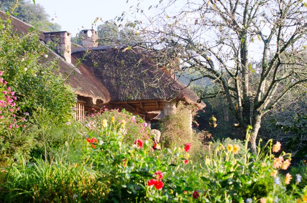 Crab Apple Chapel