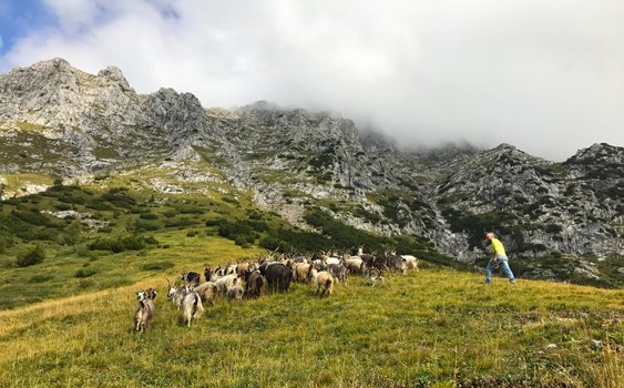 Rifugio Bietti