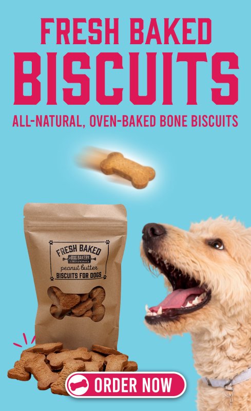 The Dog Bakery