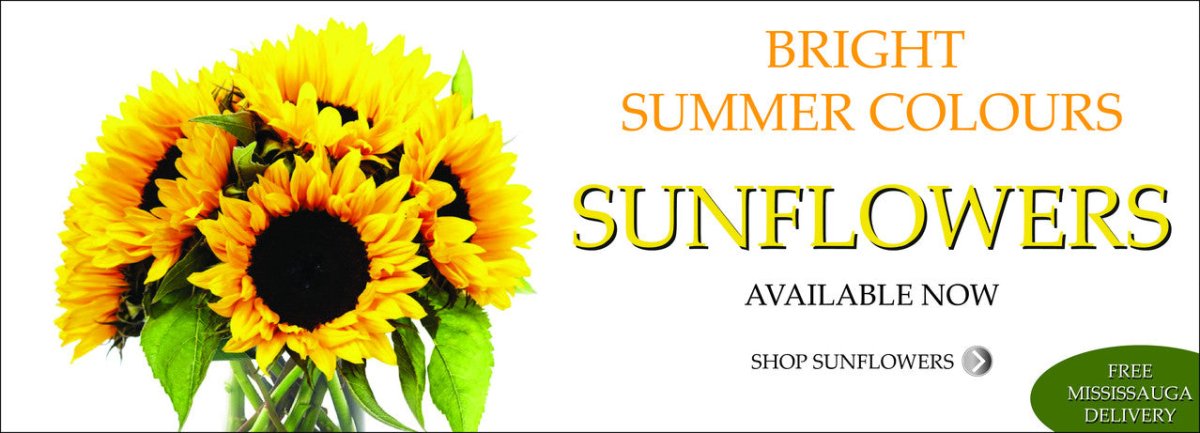 Ava Florist