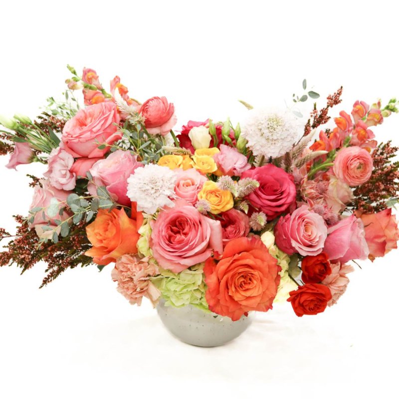 Le Jardin Rose