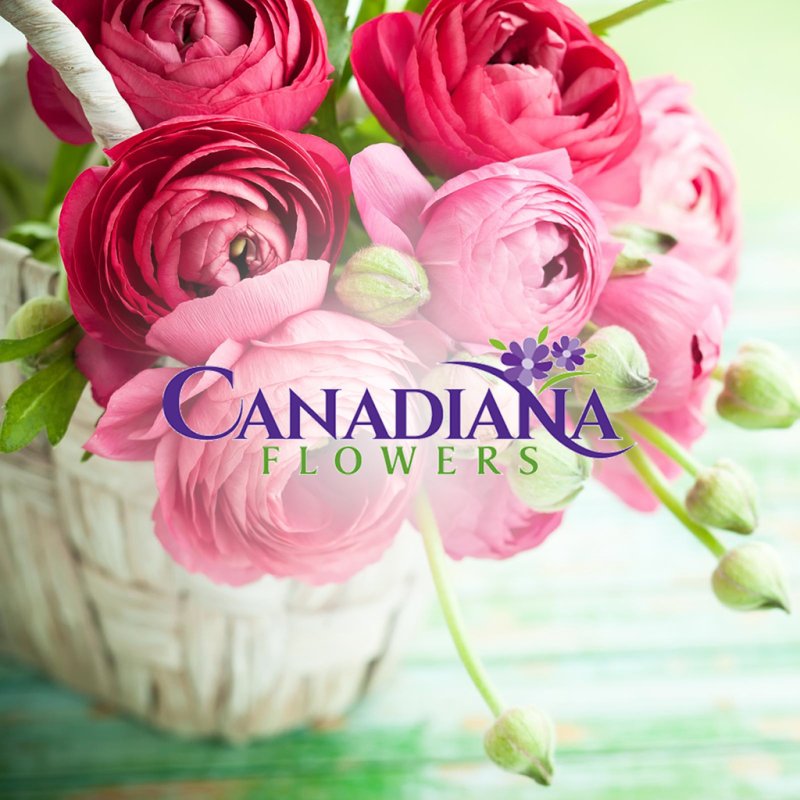 Westdale Florist