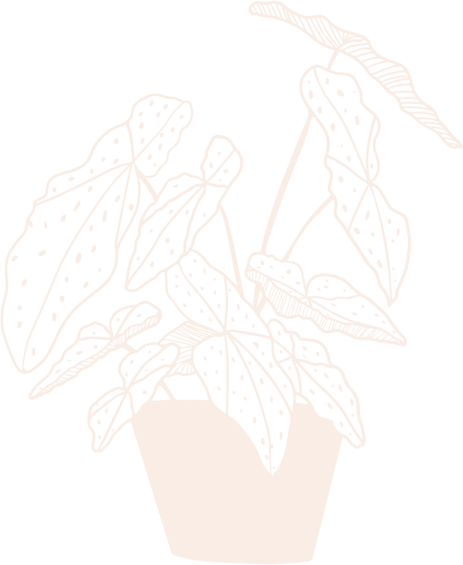 Begonia Bakehouse