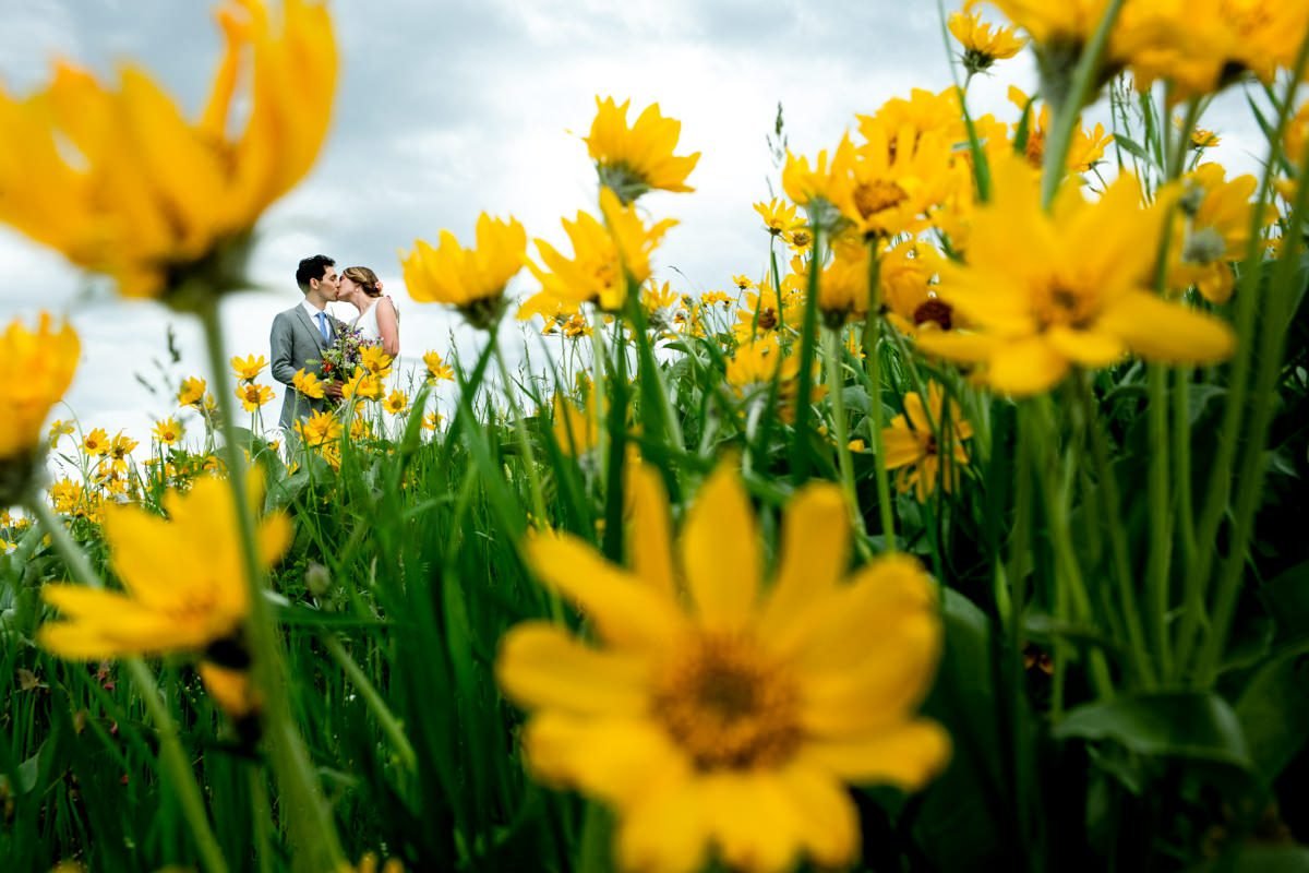 Greener Visuals Photography