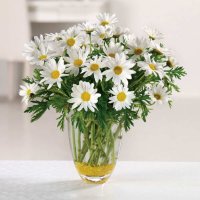 Photo from supplier website