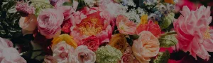 Photo from supplier website