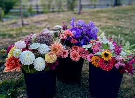 Photo from supplier website