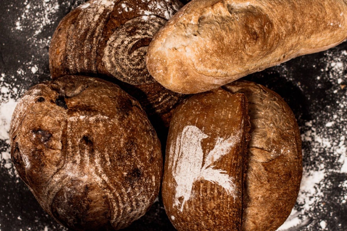 Ovenbird Bakery