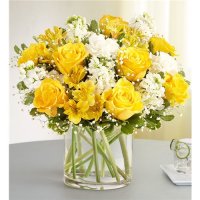 Photo from supplier website