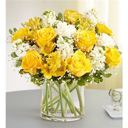 Photo from supplier website