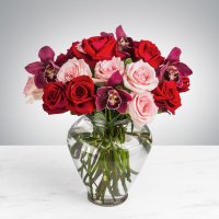 Photo from supplier website