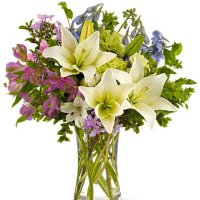 Photo from supplier website