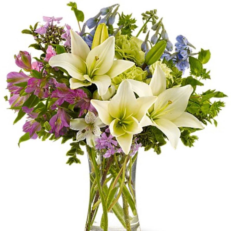 Photo from supplier website