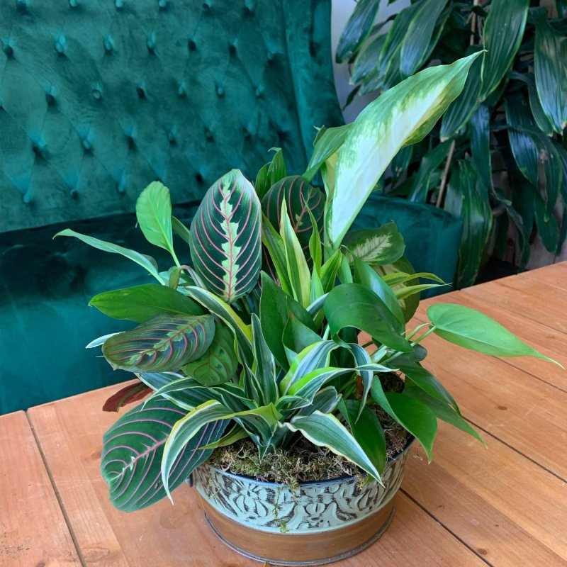 Photo from supplier website