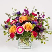 Photo from supplier website