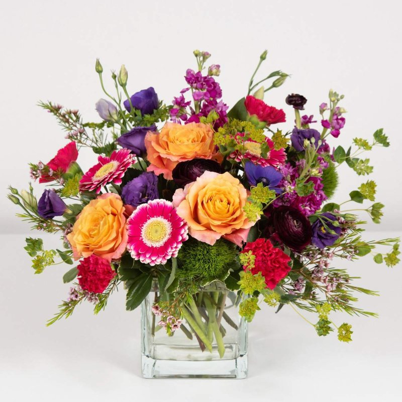 Photo from supplier website