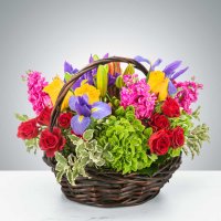 Photo from supplier website