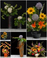 Photo from supplier website