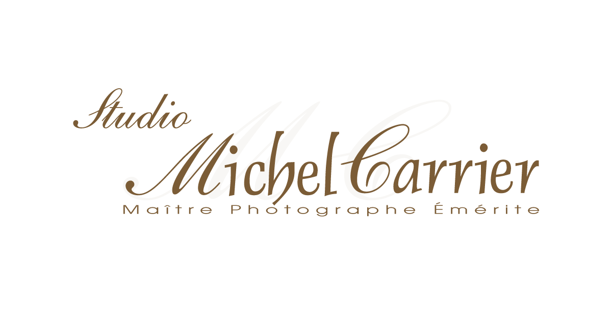 Studio Michel Carrier
