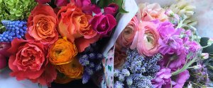 Photo from supplier website