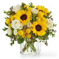 Photo from supplier website