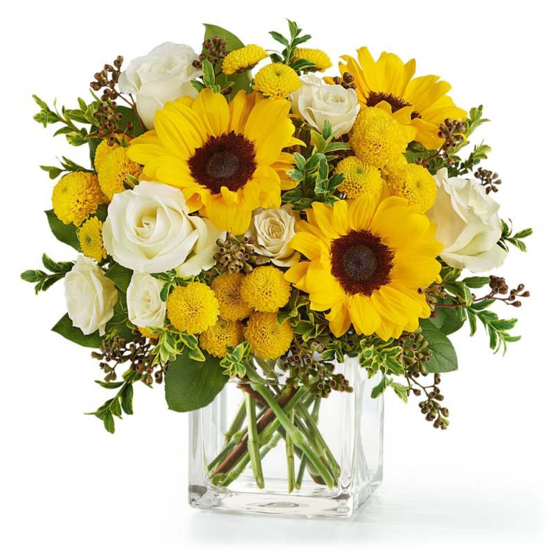 Photo from supplier website