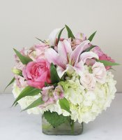 Photo from supplier website