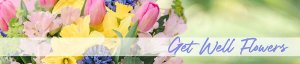 Photo from supplier website