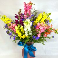 Photo from supplier website