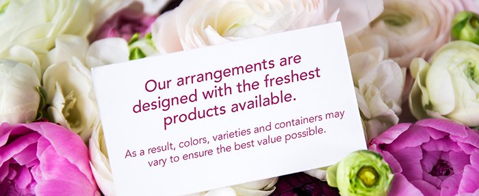 Photo from supplier website
