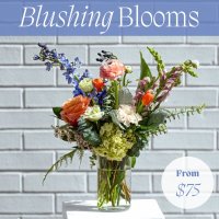 Photo from supplier website