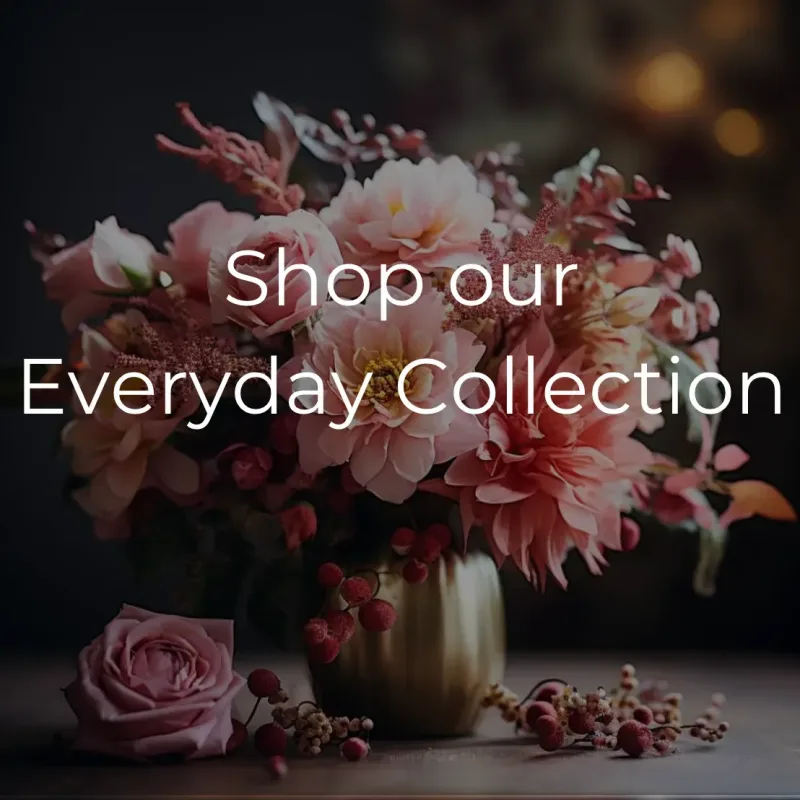 Photo from supplier website