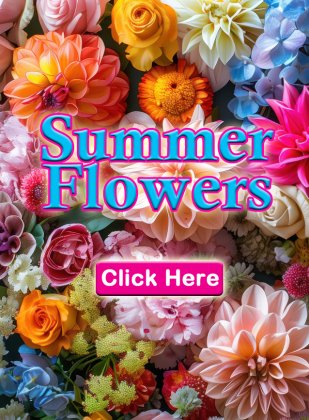 Roberts Floral & Gifts