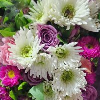 Photo from supplier website