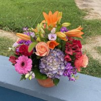 Photo from supplier website
