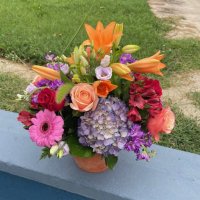Photo from supplier website