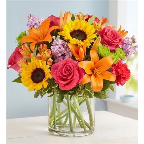 Photo from supplier website