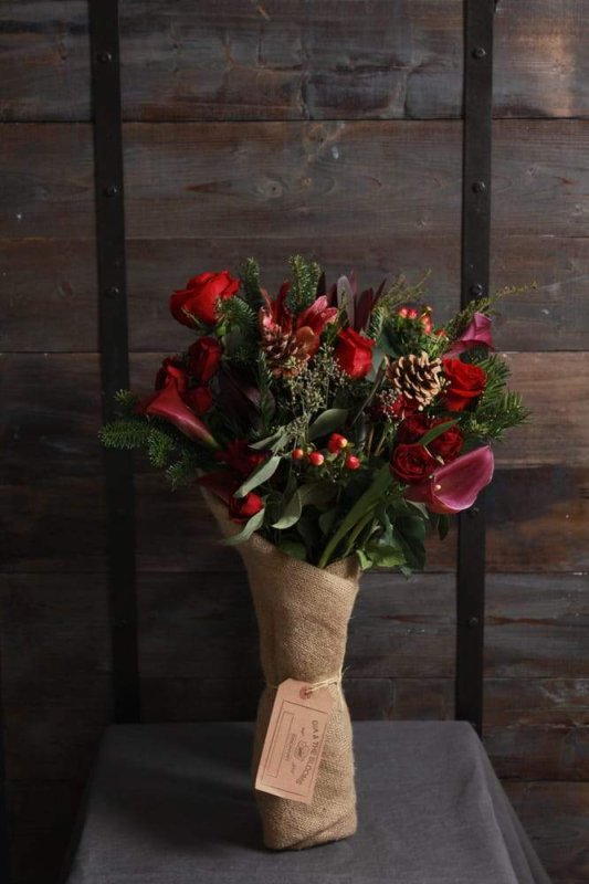 Gia and the Blooms
