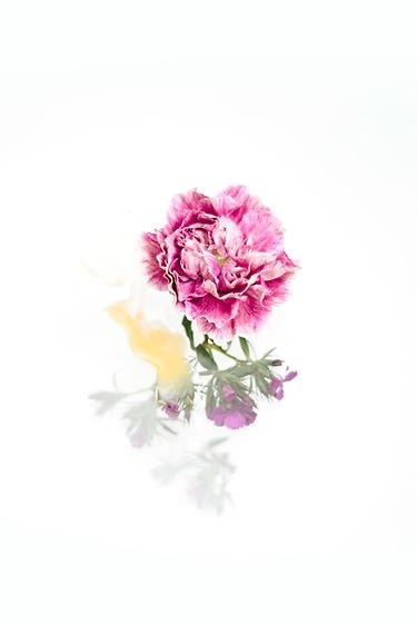 Photo from supplier website