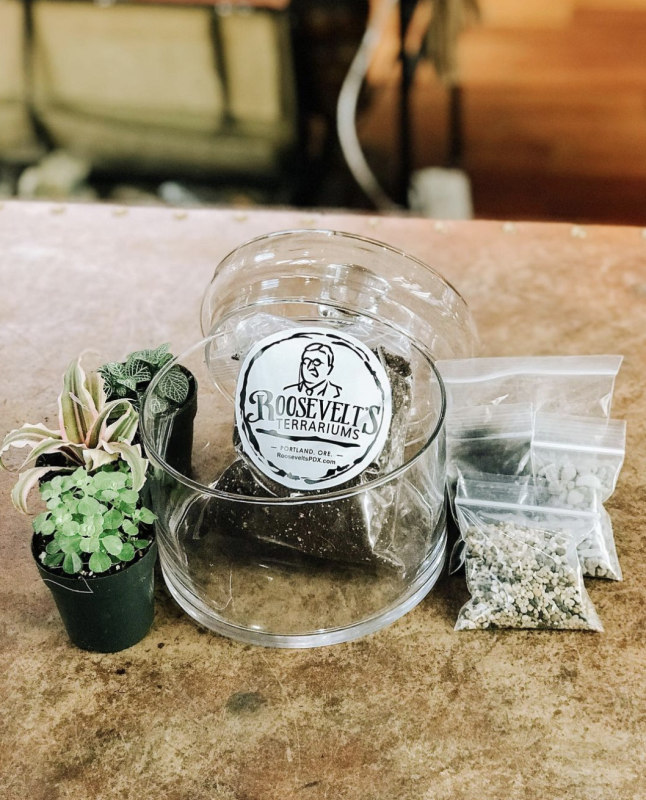 Roosevelt's Terrariums