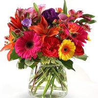 Photo from supplier website