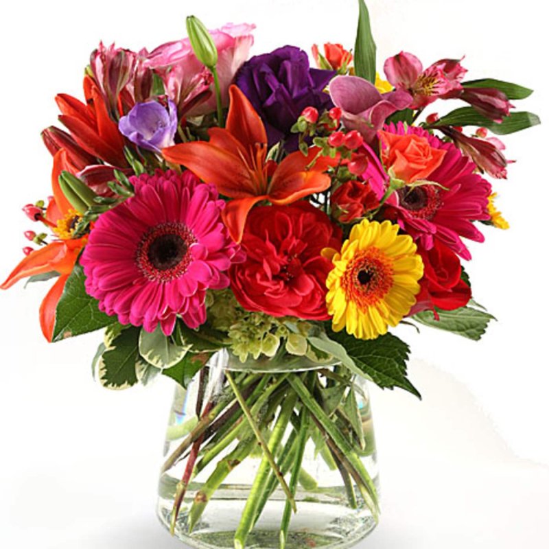 Photo from supplier website