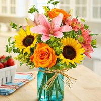 Photo from supplier website