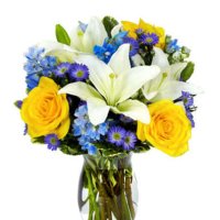Photo from supplier website