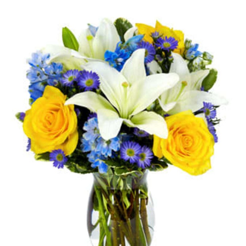 Photo from supplier website