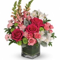 Photo from supplier website