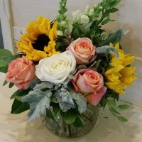 Photo from supplier website
