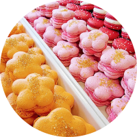 Photo from supplier website