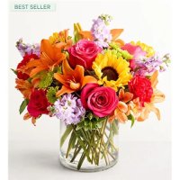 Photo from supplier website