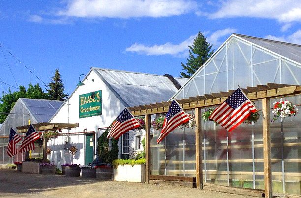Haase's Greenhouse